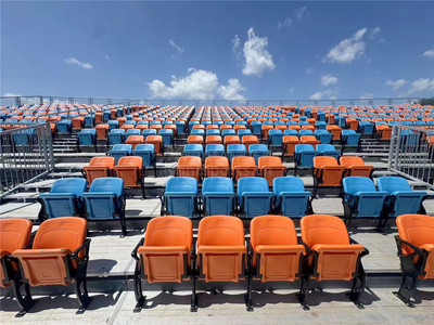 美国纽约板球场